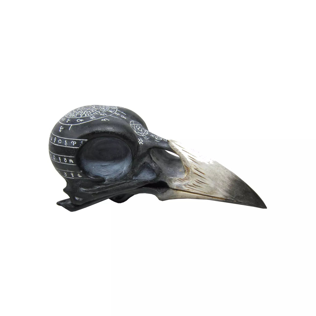 Mystical Arts Crow Skull