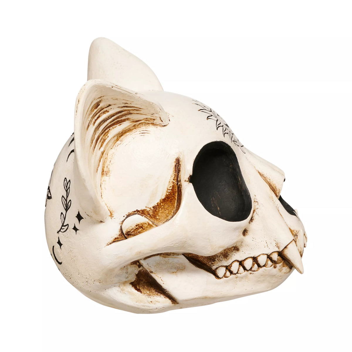 Mystical Arts Cat Skull