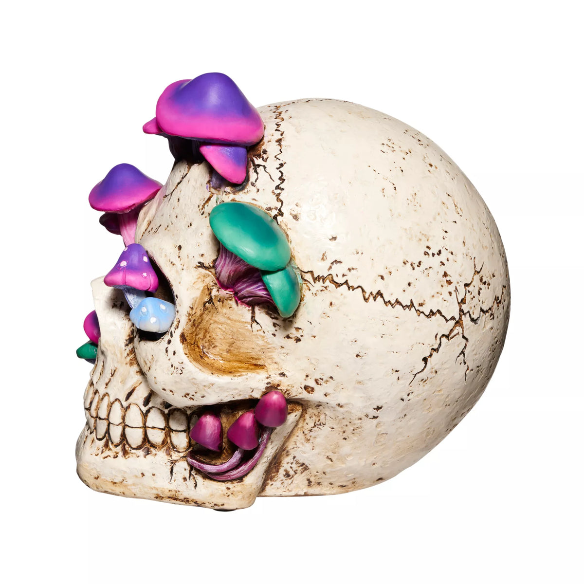 Mystical Arts Mushroom Skull