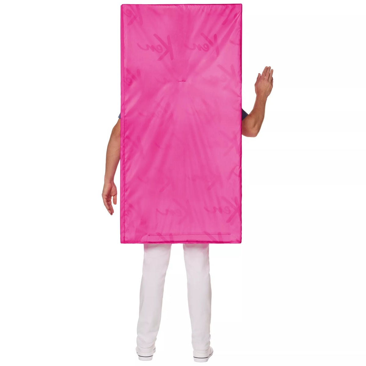 Adult Ken Box Costume - Barbie
