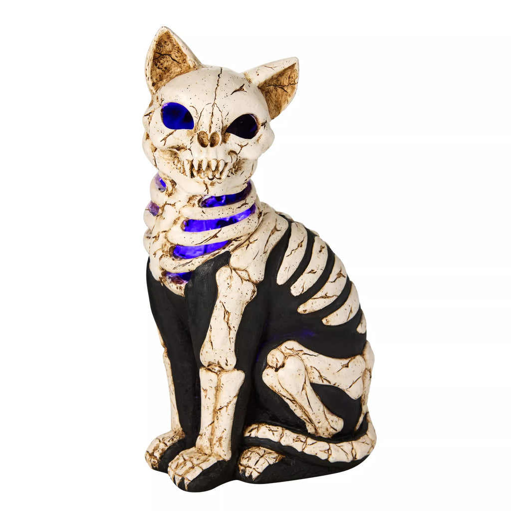Mystical Arts Light-Up Skeleton Cat
