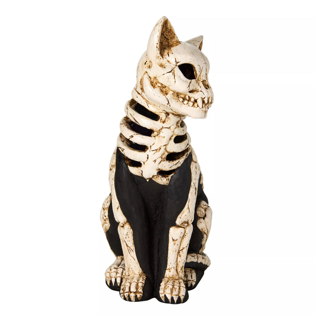 Mystical Arts Light-Up Skeleton Cat