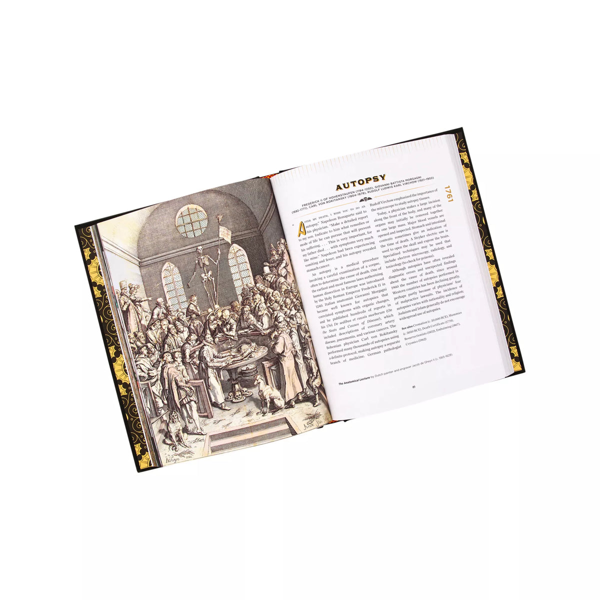 Death and the Afterlife Book
