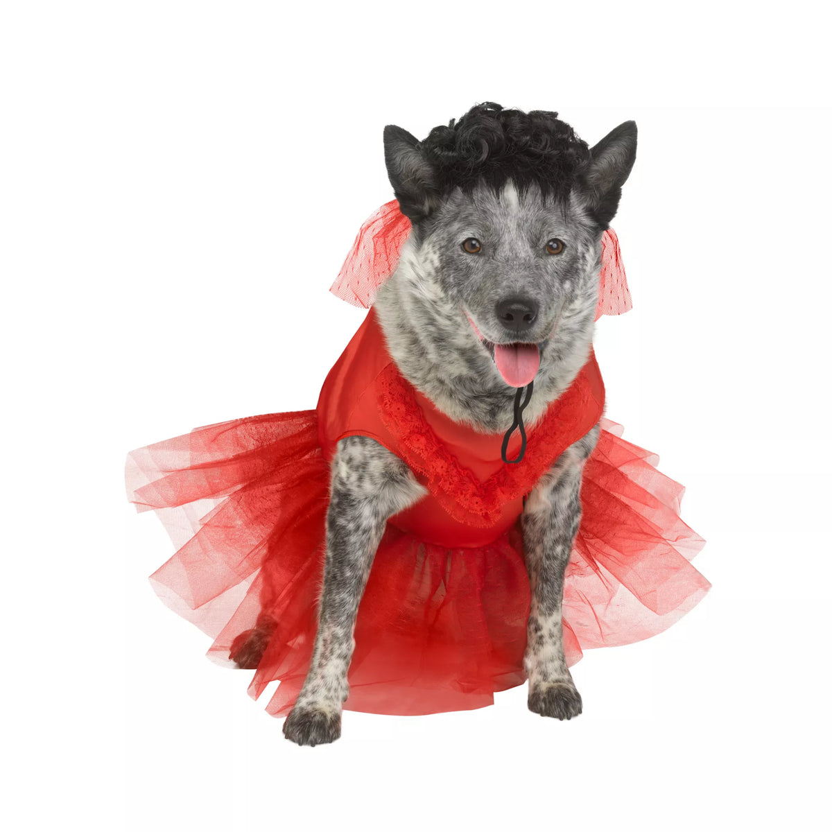 Lydia Deetz Pet Costume