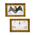 Bat Sign Set - 2 Piece