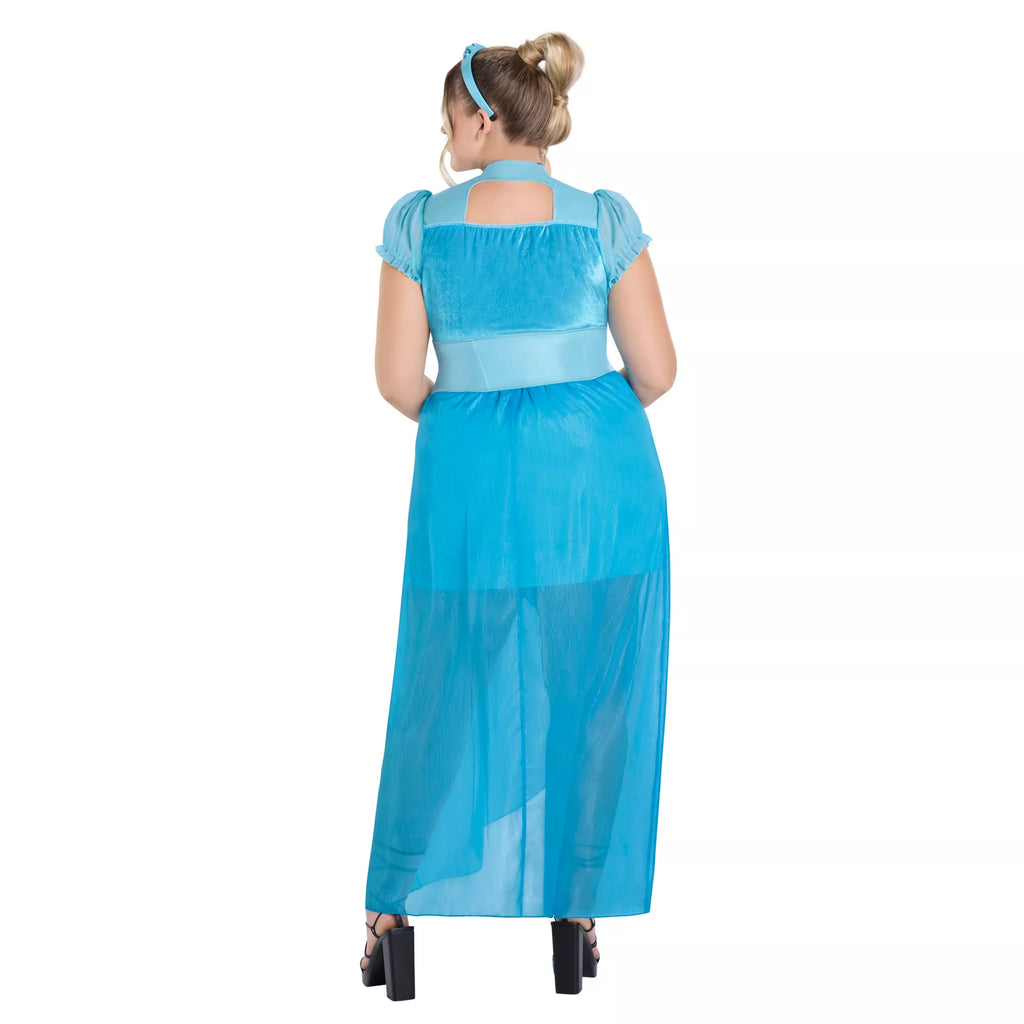 Adult Cinderella Dress Costume- Disney Princess